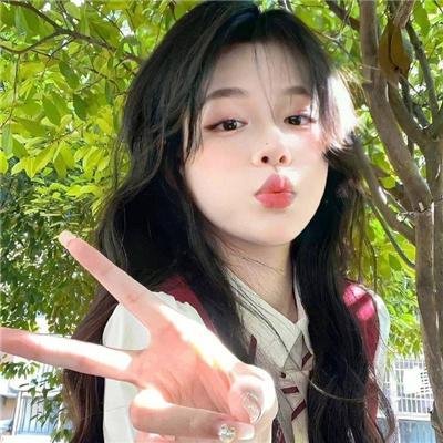 宫廷斗鸡